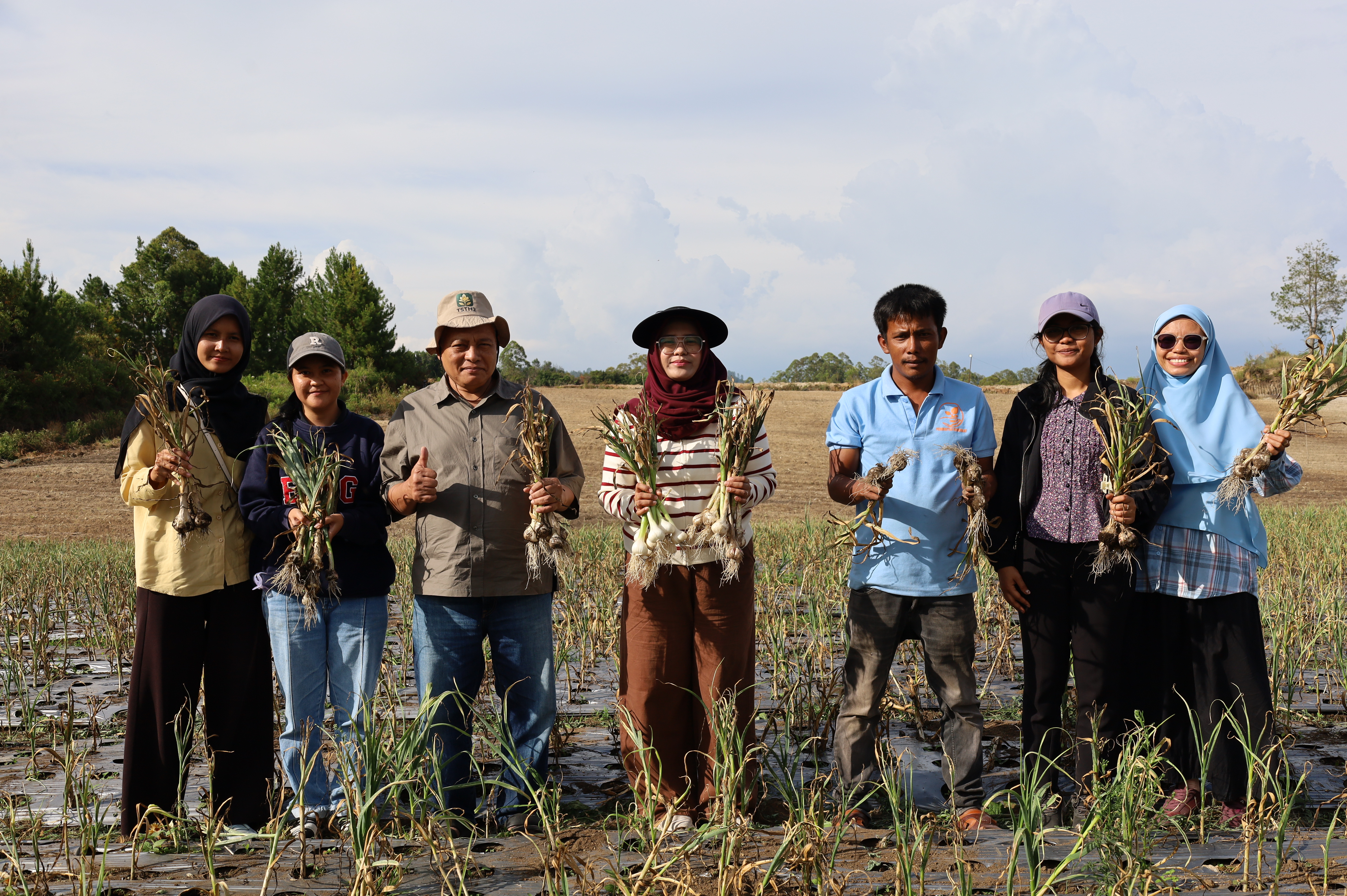 Parsingguran II Panen Bawang Putih, TSTH2 dan CV Roberkat Perkuat Potensi Hortikultura