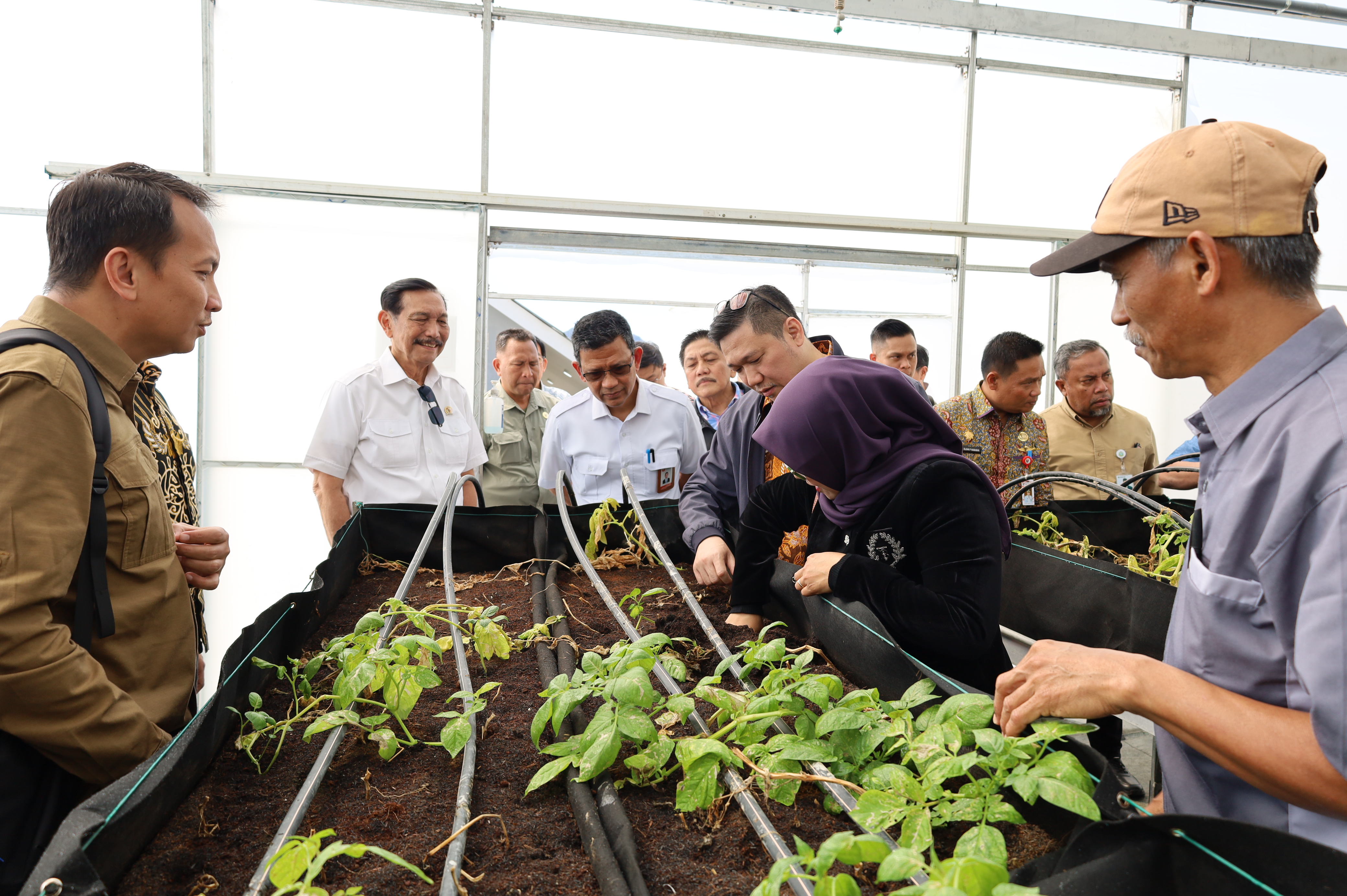Presisi Riset Benih Kentang di TSTH2: Evaluasi Adaptasi dan Kinerja Lintas Agroekosistem